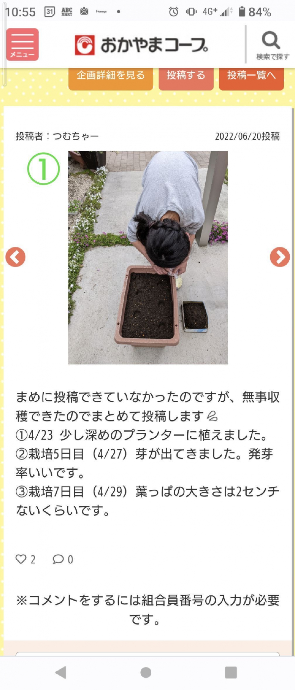 育てて食べよう～春まきミニダイコン編～
【岡山西エリアたべる・たいせつPJ】