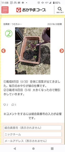 育てて食べよう～春まきミニダイコン編～
【岡山西エリアたべる・たいせつPJ】