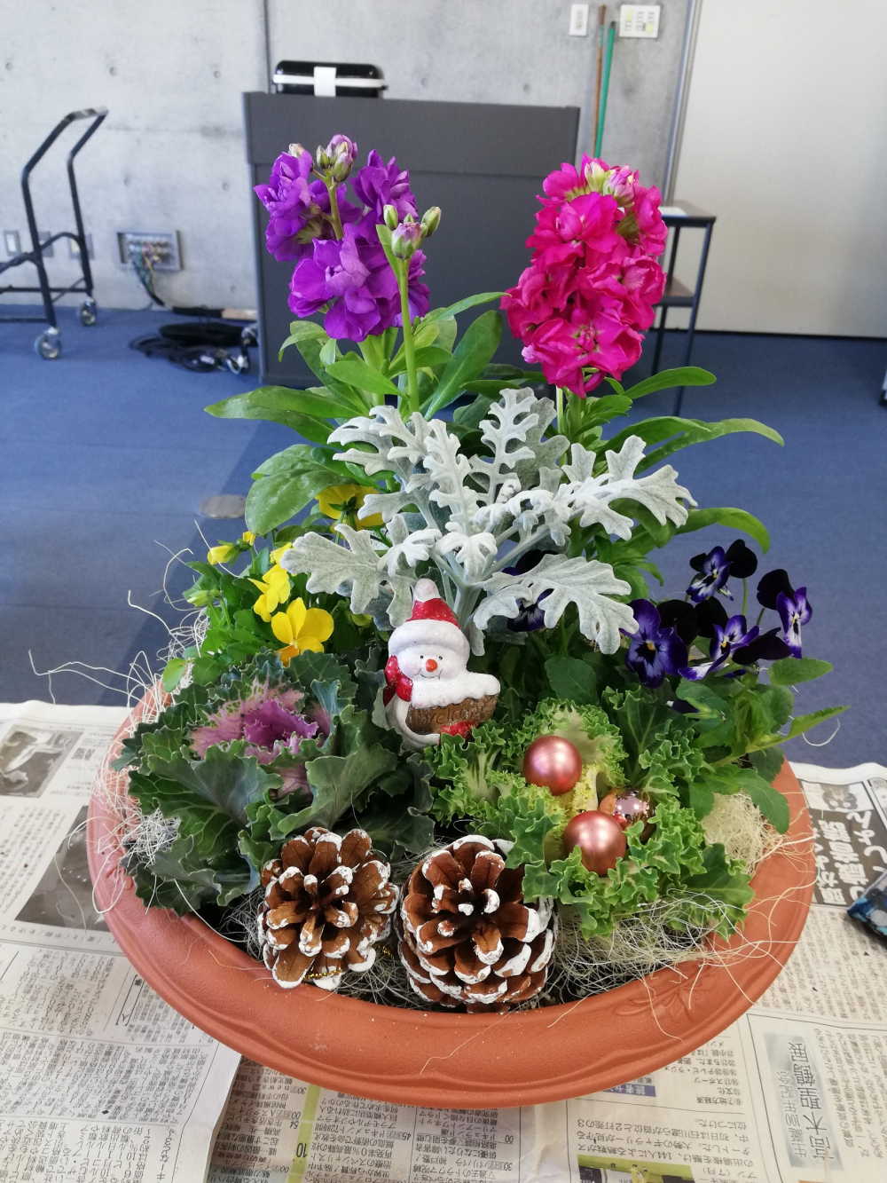 この時期もいやされる♡　冬の花で寄せ植えしませんか?
【井笠エリア寄島コープ委員会】