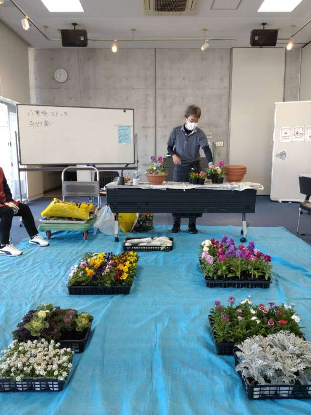 この時期もいやされる♡　冬の花で寄せ植えしませんか?
【井笠エリア寄島コープ委員会】