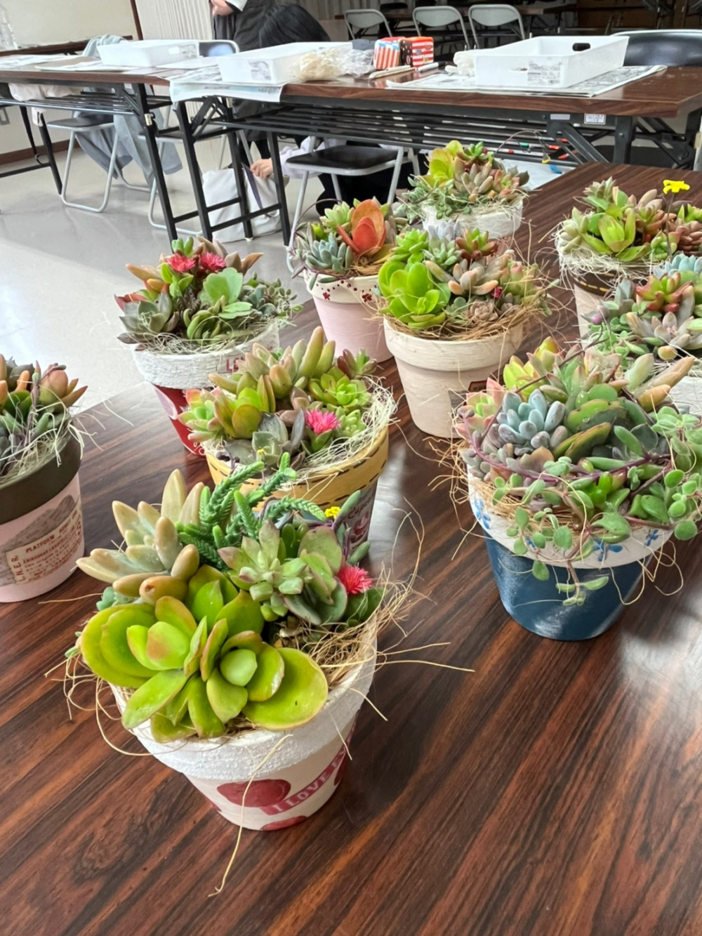 多肉植物の寄せ植え体験
【岡山西エリア桃丘コープ委員会】