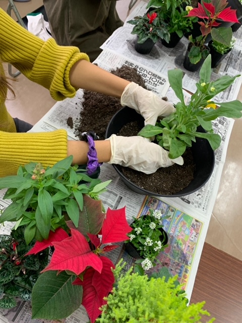 季節のお花&植物で　寄せ植えワークショップ
【岡山西エリア横井コープ委員会】