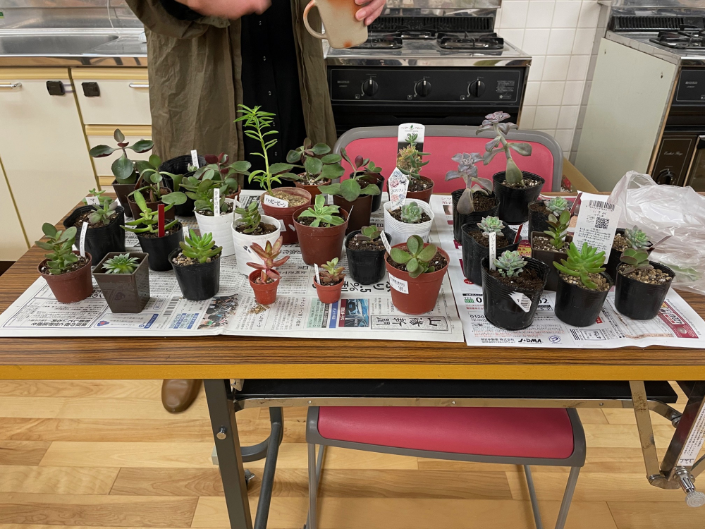 備前焼の器を使って多肉植物の寄せ植えをしよう
【岡山東エリア幡多南コープ委員会】