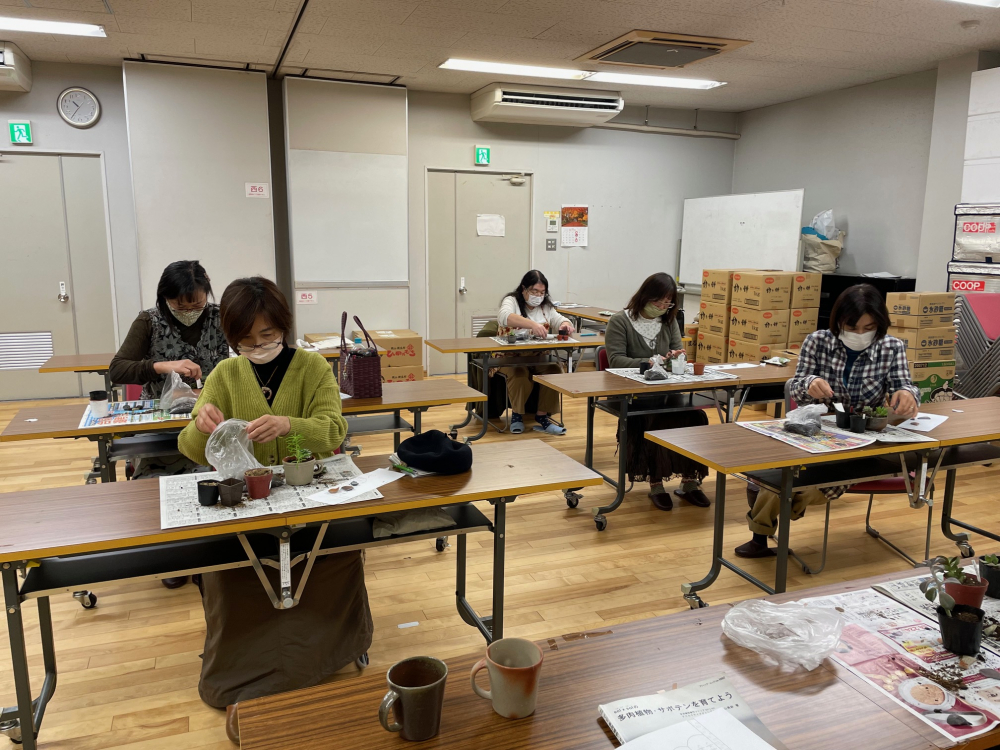 備前焼の器を使って多肉植物の寄せ植えをしよう
【岡山東エリア幡多南コープ委員会】