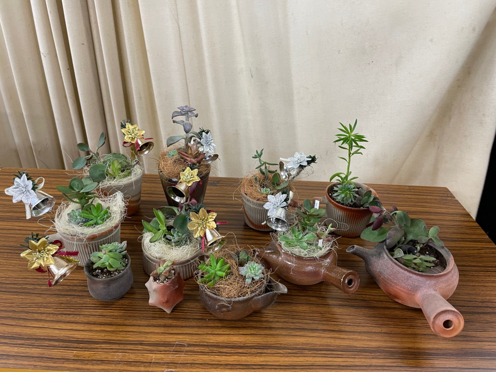 備前焼の器を使って多肉植物の寄せ植えをしよう
【岡山東エリア幡多南コープ委員会】