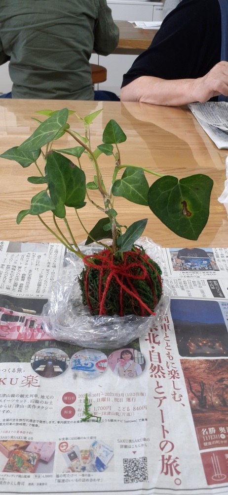 つくってみよう!わたしだけの苔玉～秋のひとときいやされませんか?～
【岡山東エリア地域応援PJ】