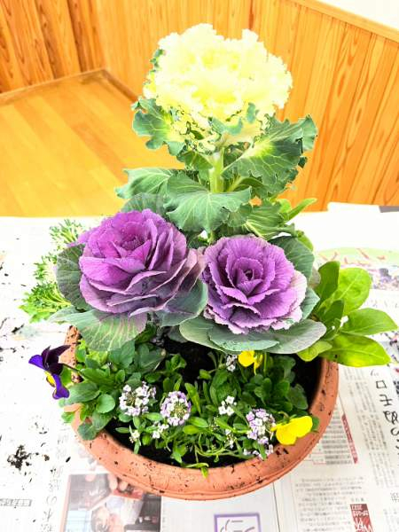 お正月を彩る寄せ植え
【美作エリア久世コープ委員会】