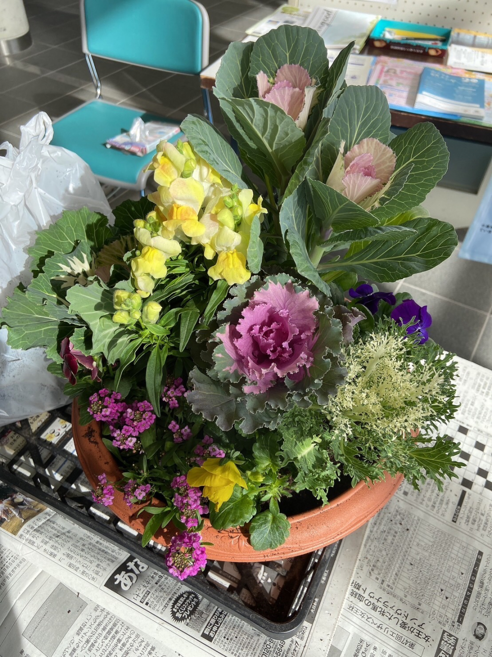コープくらしのつどい　寄せ植えの会
【美作エリア美作エリアブロック委員長PJ】