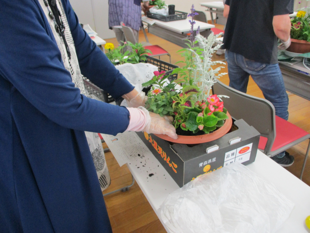 夏の花で寄せ植えをしませんか①
【備北エリア幅広い参加参画を目指す委員会】