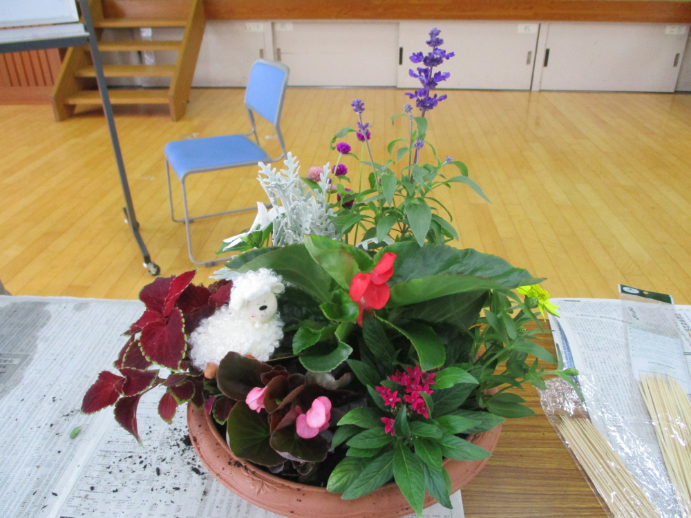 夏の花で寄せ植えをしませんか②
【備北エリア幅広い参加参画を目指す委員会】