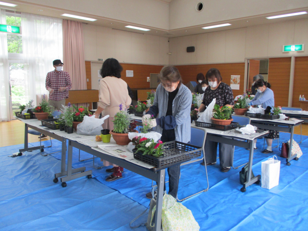夏の花で寄せ植えをしませんか②
【備北エリア幅広い参加参画を目指す委員会】