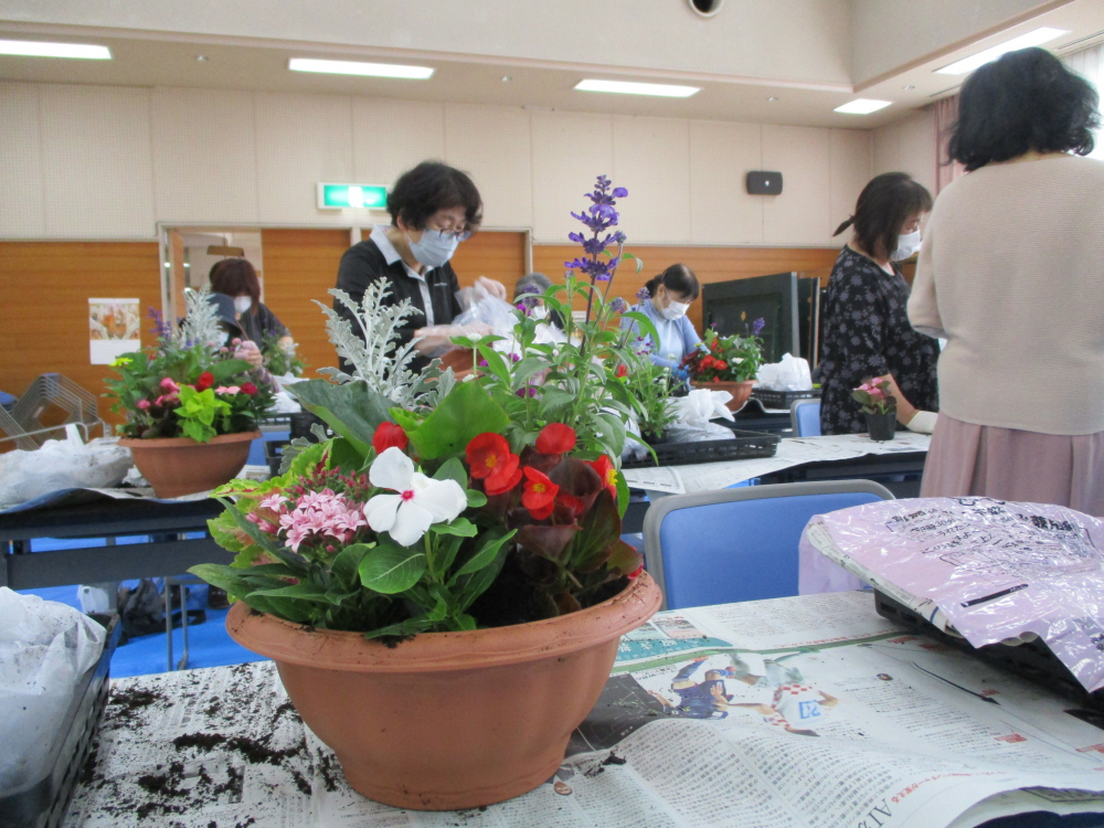 夏の花で寄せ植えをしませんか②
【備北エリア幅広い参加参画を目指す委員会】