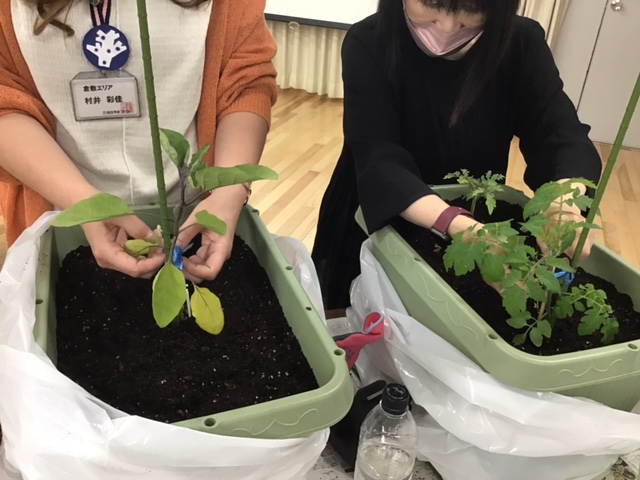 夏野菜を育てよう‼
【倉敷エリア商品大好き委員会】