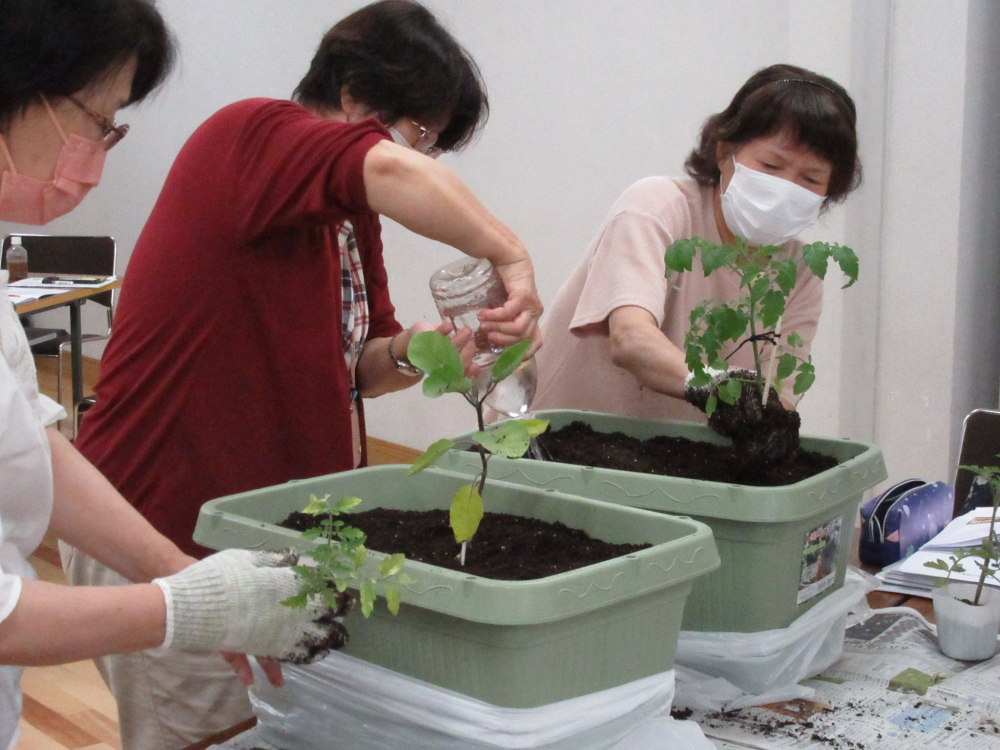 夏野菜を育てよう‼
【倉敷エリア商品大好き委員会】