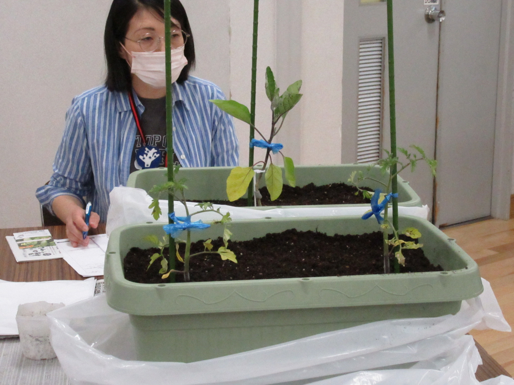 夏野菜を育てよう‼
【倉敷エリア商品大好き委員会】