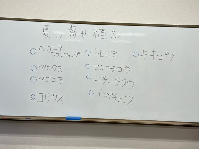 プロの園芸屋さんが来ます!夏花の寄せ植え
【美作エリア鏡野コープ委員会】