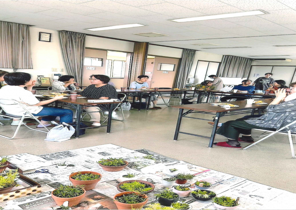 多肉植物の寄せ植えやりますよー♡(初級編)
【岡山西エリア藤田北コープ委員会】
