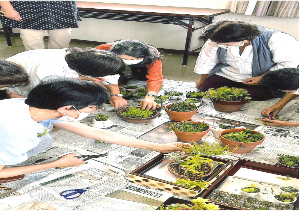 多肉植物の寄せ植えやりますよー♡(初級編)
【岡山西エリア藤田北コープ委員会】