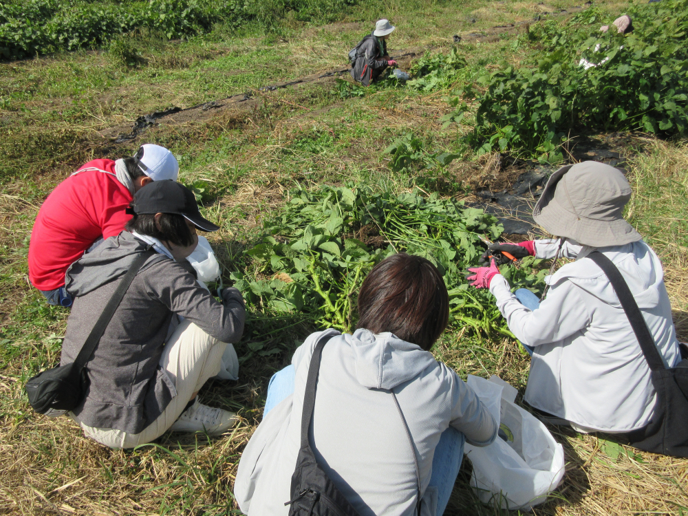 とれたてが美味しい!作州黒枝豆　産地交流
【美作エリアたべるたいせつと商品PJ】