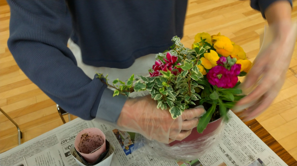 みんなでチャレンジ　冬の寄せ植え
【倉敷エリア西阿知南コープ委員会】