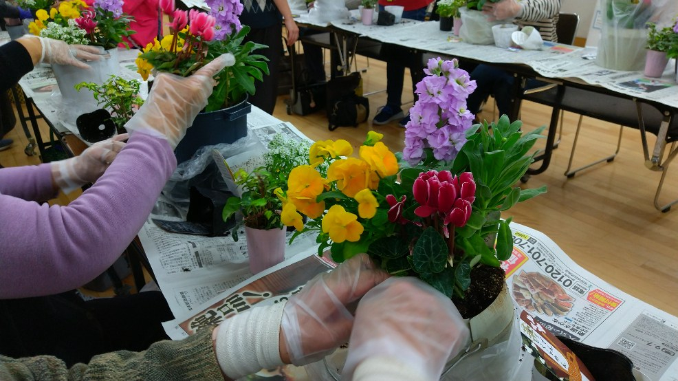 みんなでチャレンジ　冬の寄せ植え
【倉敷エリア西阿知南コープ委員会】
