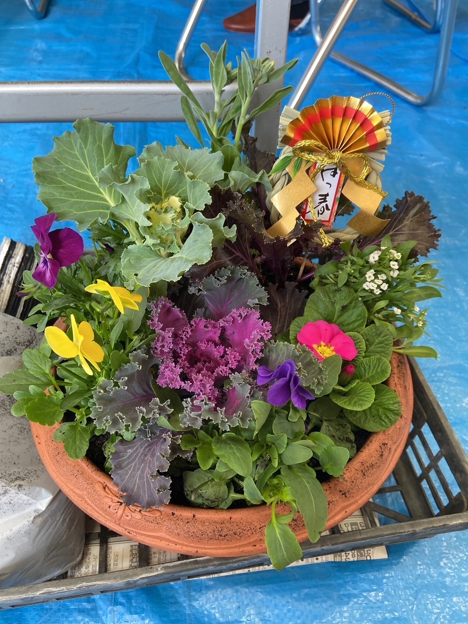 お花の寄せ植えを楽しもう
【美作エリア久米北コープ委員会】