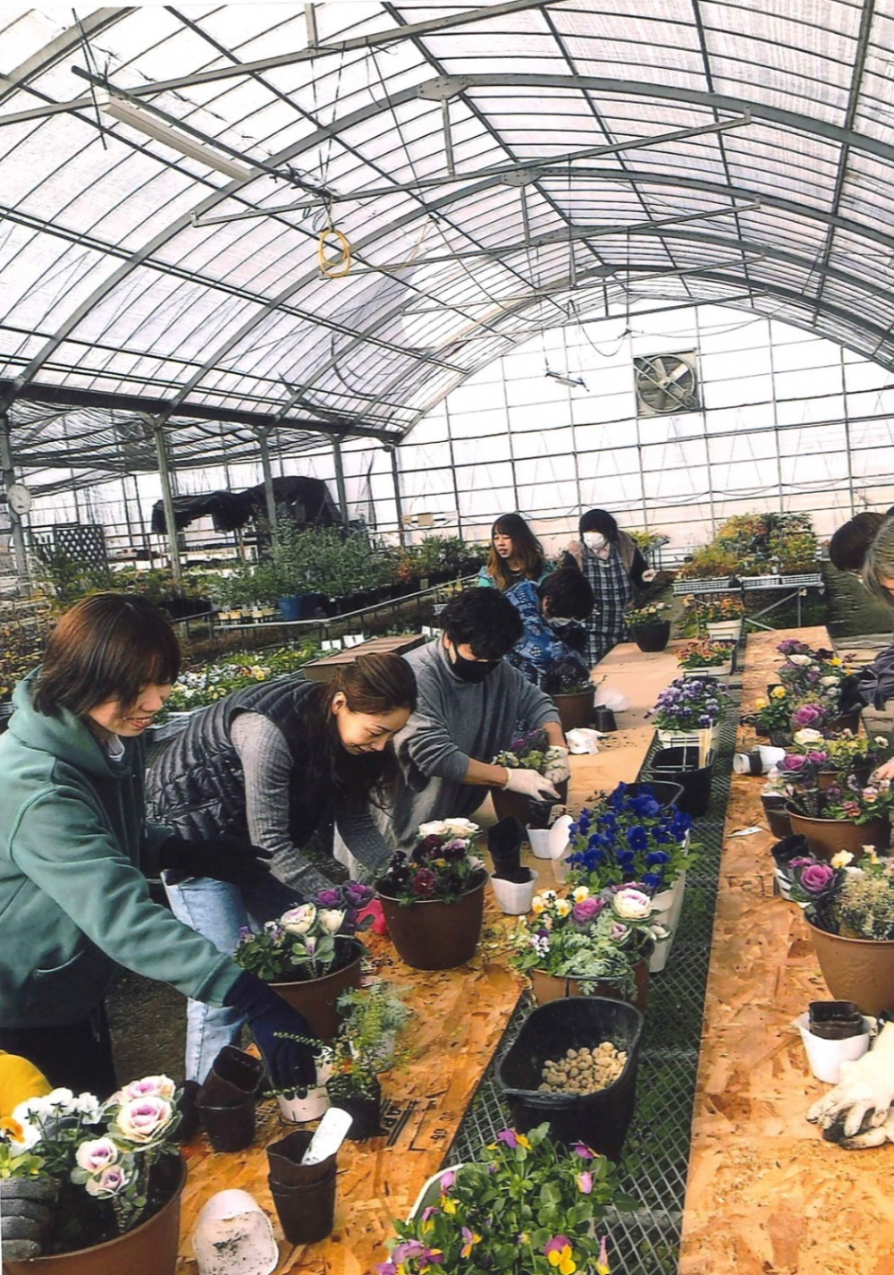 お正月用寄せ植えを作ってみよう
【岡山東エリア山南コープ委員会】
