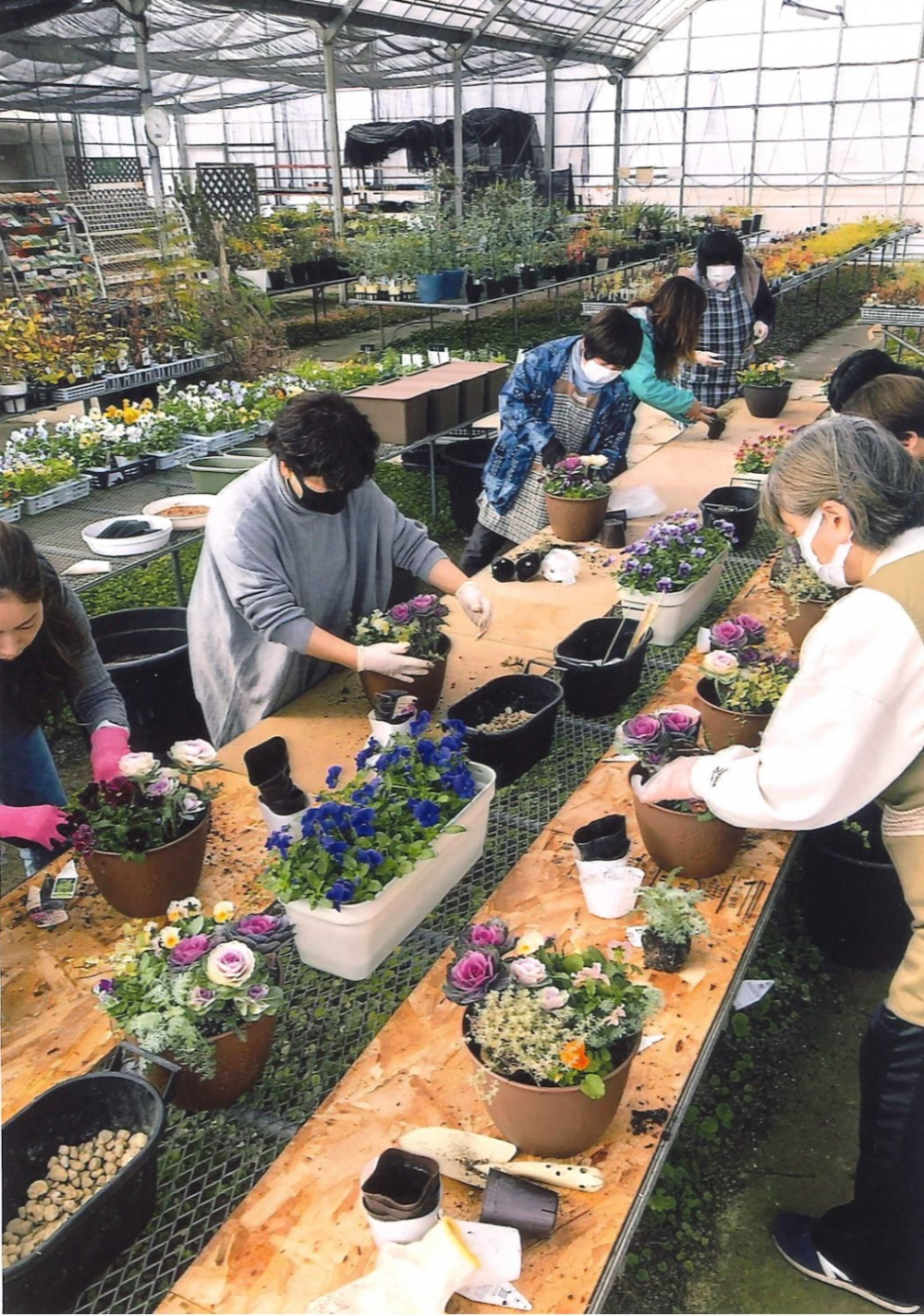 お正月用寄せ植えを作ってみよう
【岡山東エリア山南コープ委員会】