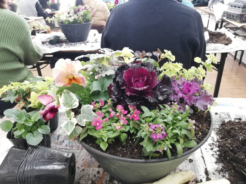 寄せ植えをしましょう!
【岡山西エリア陵南コープ委員会】