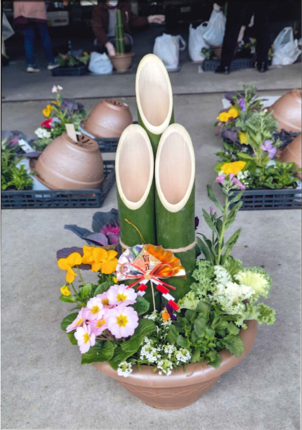 冬の寄せ植え　お正月バージョン
【備北エリア高梁北コープ委員会】