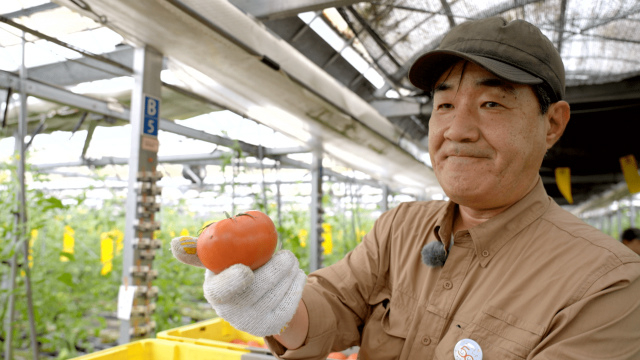 【予告】再建50周年記念テレビ番組「Bloom」、第4回放送のテーマ商品は「コープはれとまと」​