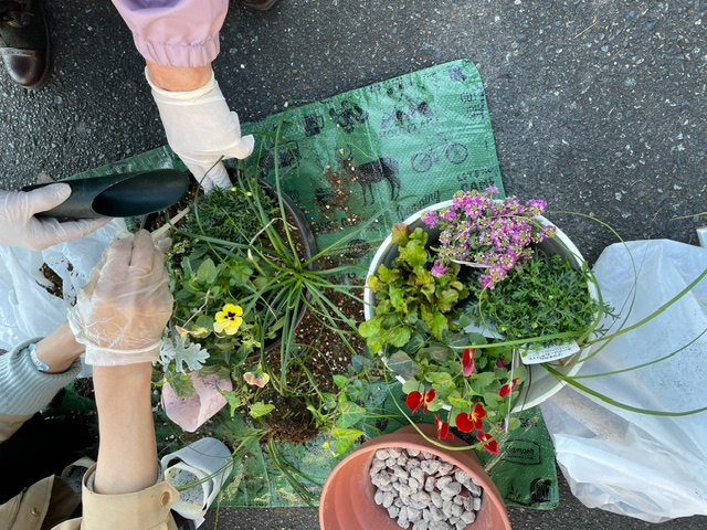 おしゃれな寄せ植え&年末おすすめ商品試食会
【美作エリア鏡野コープ委員会】