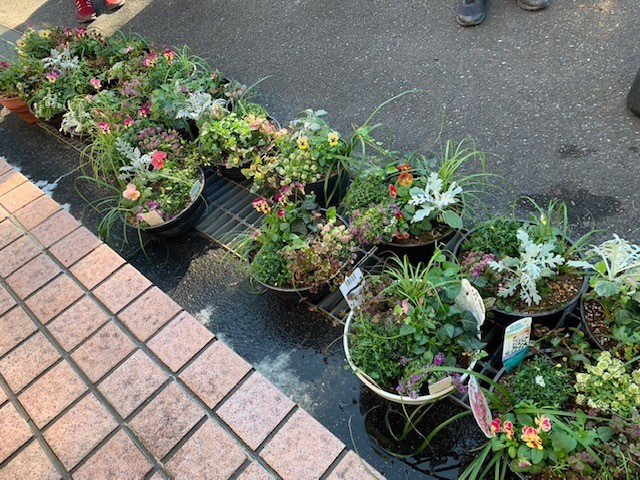 おしゃれな寄せ植え&年末おすすめ商品試食会
【美作エリア鏡野コープ委員会】