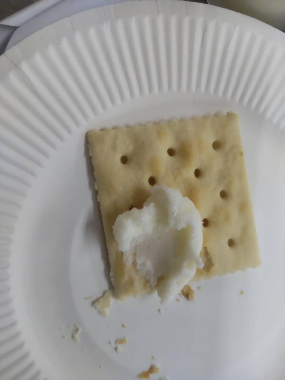 白バラ牛乳でおなじみ☆ 大山乳業さんの美味しさの秘密を知ろう!!
【岡山東エリア芥子山コープ委員会】