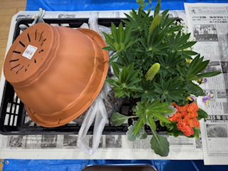 季節の寄せ植えしませんか
【美作エリア一宮コープ委員会】