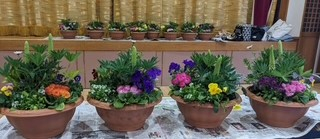 季節の寄せ植えしませんか
【美作エリア一宮コープ委員会】