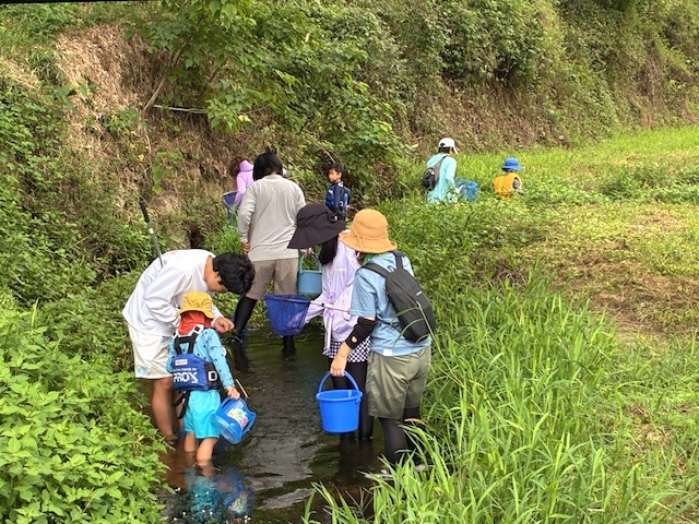 水辺の教室　いきものさがし観察隊!!　-赤磐市野生植物調査会から講師をお迎えして、水辺の生き物を一緒に観察しませんか?-
【岡山東エリア環境・考えるPJ　共催:岡山市・赤磐市】