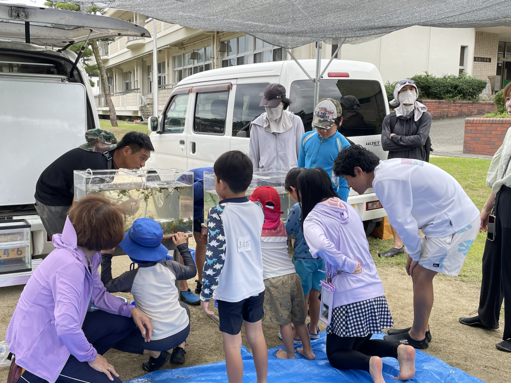 水辺の教室　いきものさがし観察隊!!　-赤磐市野生植物調査会から講師をお迎えして、水辺の生き物を一緒に観察しませんか?-
【岡山東エリア環境・考えるPJ　共催:岡山市・赤磐市】
