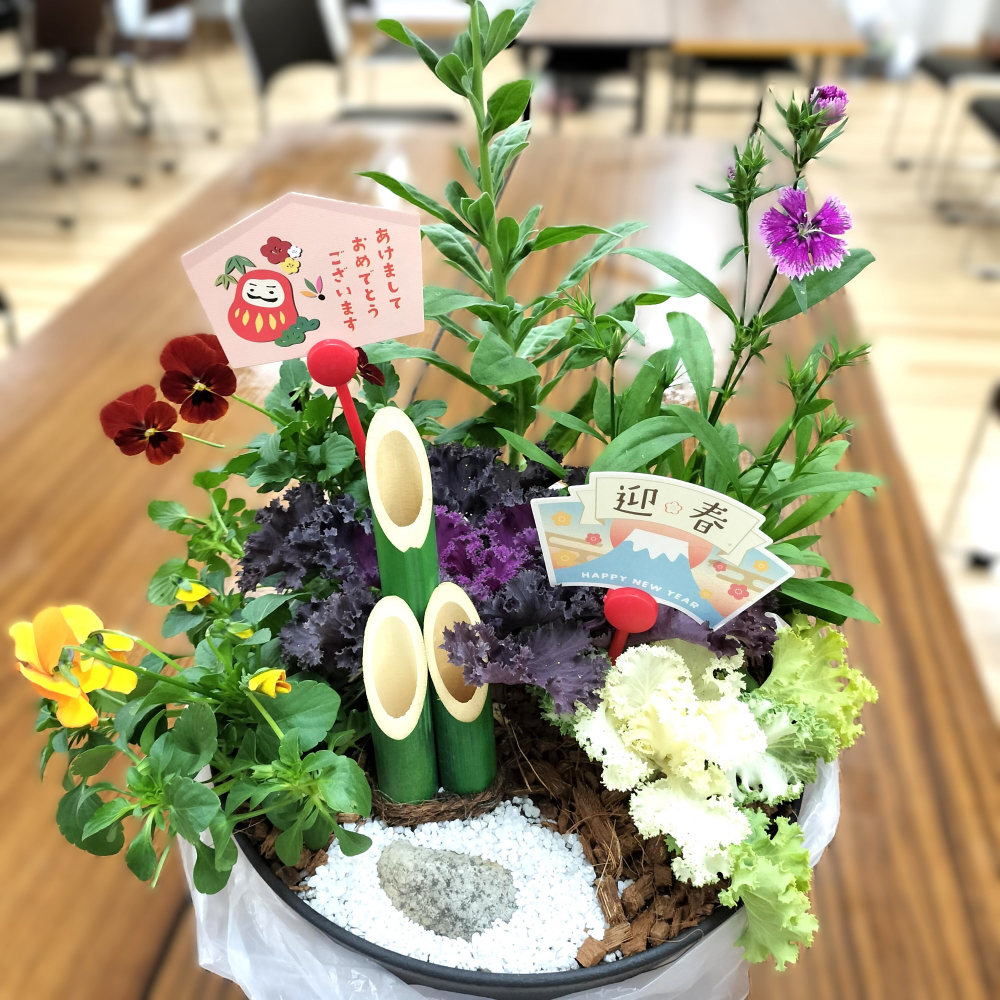 冬の寄せ植えワークショップ　年末の玄関を華やかに
【倉敷エリア老松南コープ委員会】