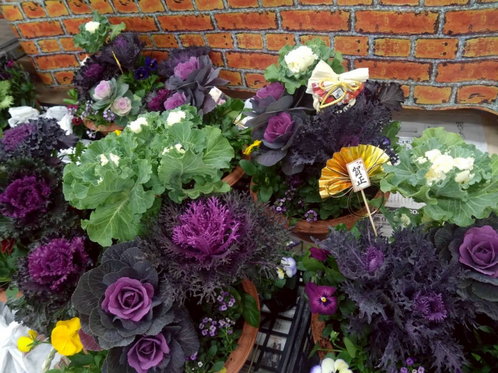 寄せ植えでお正月を彩ろう!
【美作エリア北小コープ委員会】