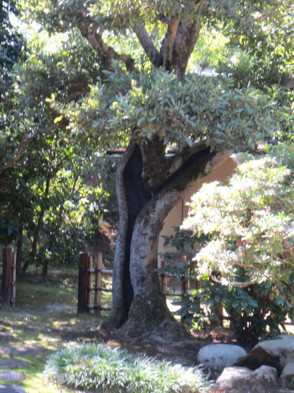 戦後80年企画　おかやま空襲　戦跡巡り
【岡山西エリアピースPJ】