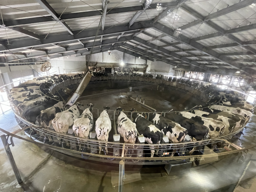 希望園へ行ってみよう!!
【岡山東エリアたべる・たいせつPJ】