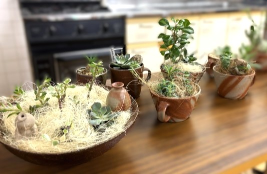 あなたの生活に癒しのグリーンを♪　『備前焼の器で自分だけの多肉植物のアレンジメントを作ってみよう!!』
【岡山東エリア幡多南コープ委員会】