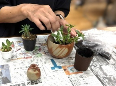 あなたの生活に癒しのグリーンを♪　『備前焼の器で自分だけの多肉植物のアレンジメントを作ってみよう!!』
【岡山東エリア幡多南コープ委員会】