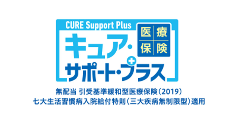 医療保険
CURE Support Plus