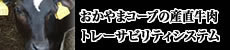 牛肉トレーサビリティシステム