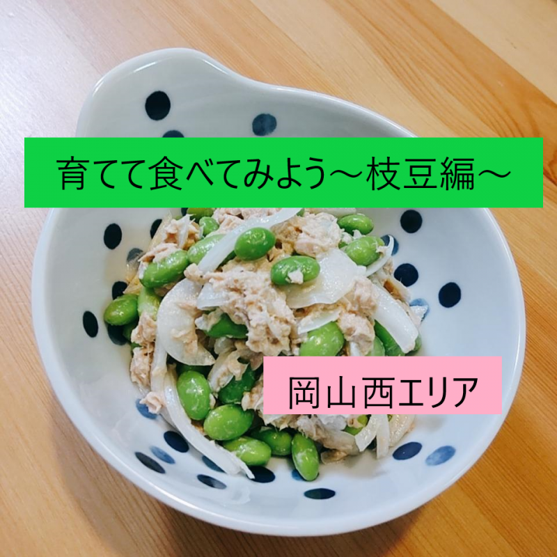 育てて食べてみよう～枝豆編～